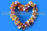 Mixed Leis: Dendrobium & Mokara