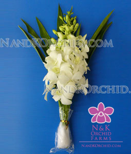 Dendrobium Bouquet: 3 stems w/ leaves