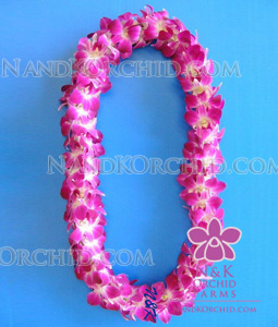 Double Leis: Dendrobium